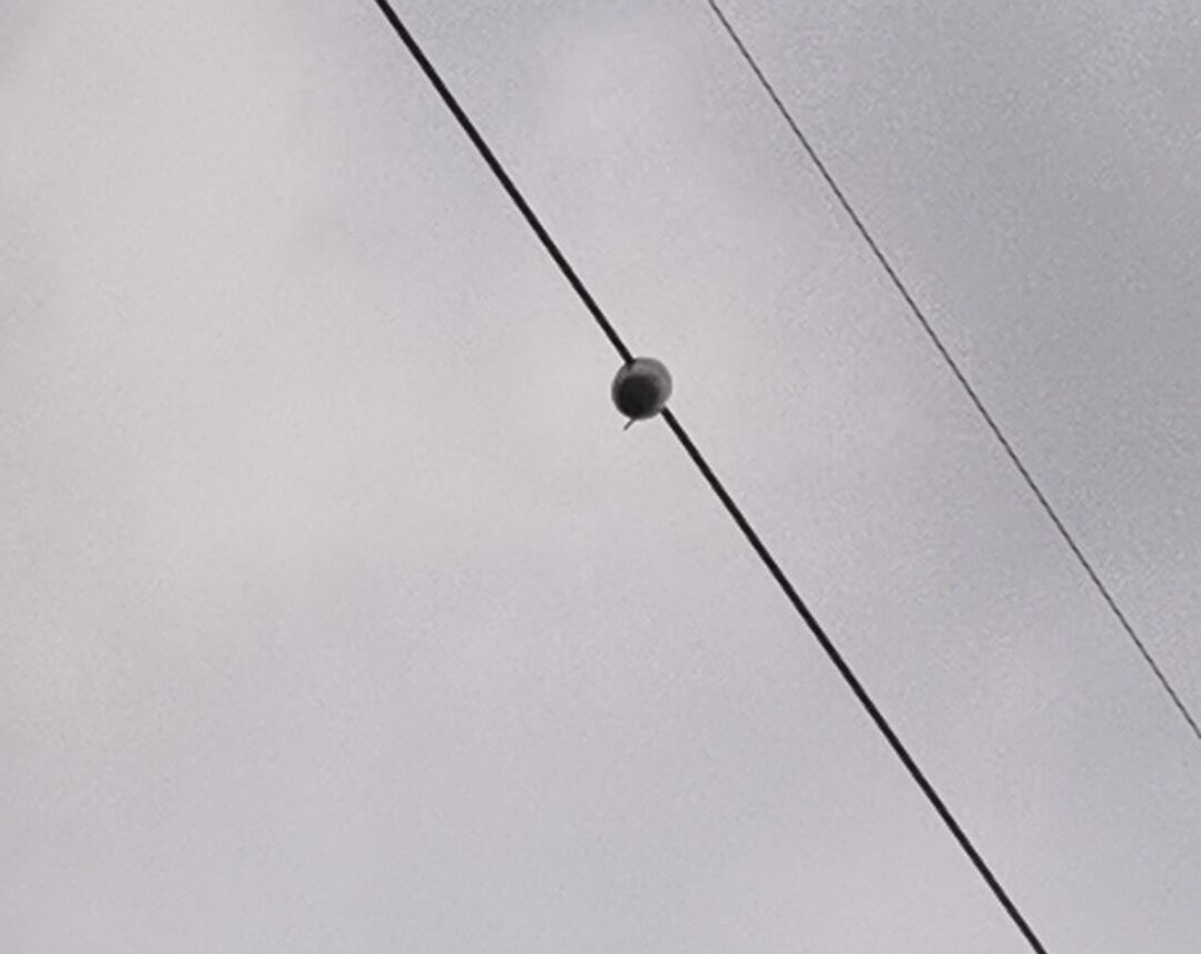 特力康輸電線路微弧垂在線監測系統——山西電力公司大跨越輸電線路安全升級工程案例